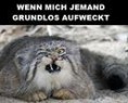 /album/meine-sammlung/a1383973-437288743054777-1274099958-n-jpg/